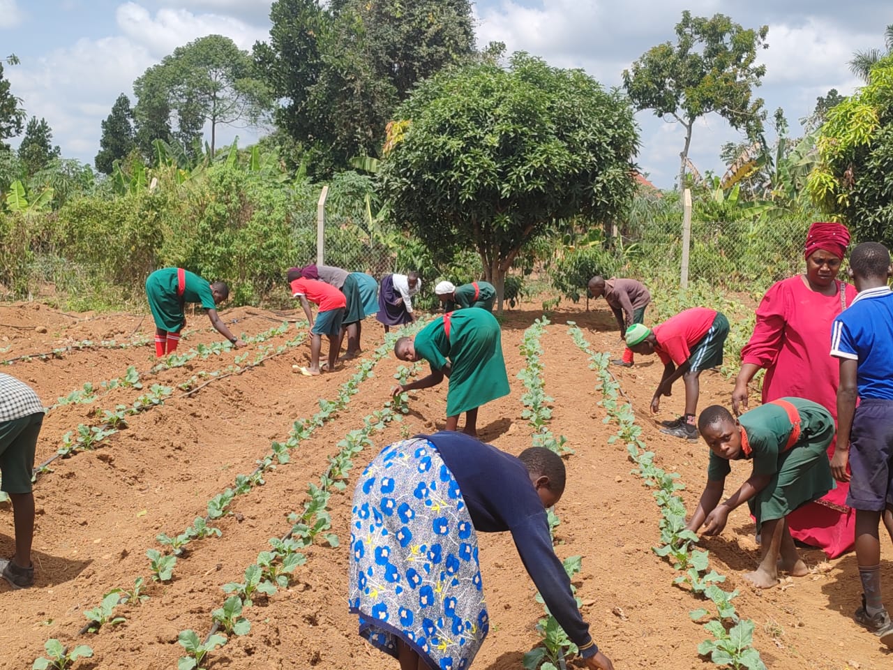 From Norway to Masaka: Lions Bring Solar-Powered Farming to Kyabbumba School