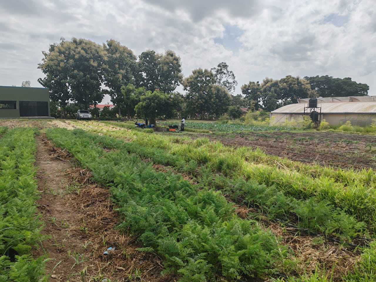 Eruba Agriculture Centre of Excellence (Duration: 5 years)