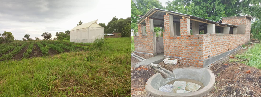Koch Amar Primary project (1 year)