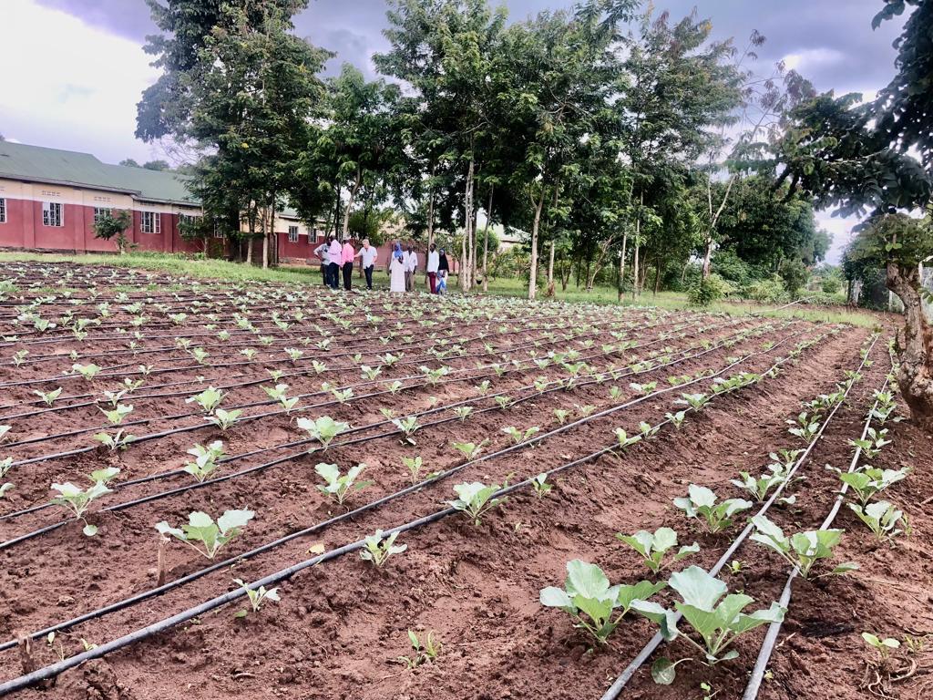 Bugono Community Development project