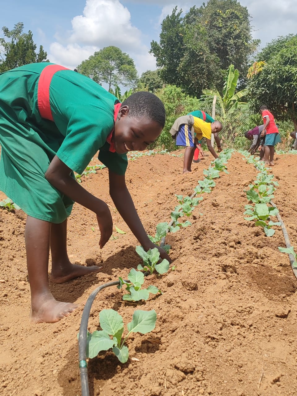 Kyabbumba Primary School Sel-Sustainability Farming Project